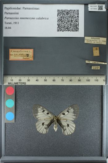 Media type: image;   Entomology 179945